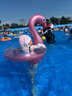 安丹迪（Adandyish）网红亮片火烈鸟游泳圈 腋下充气坐圈救生圈坐骑浮排戏水冲浪 90cm 实拍图