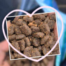 麦富迪狗粮 藻趣儿狗粮成犬粮牛肉螺旋藻 均衡营养15kg/30斤 实拍图