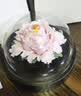 Para Ella永生花陶瓷花牡丹香薰生日礼物女友妈妈教师节老师退休七夕情人节 实拍图