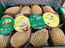 佳沛（zespri）新西兰 阳光金奇异果12粒特大果单果124-146g 猕猴桃水果礼盒 实拍图