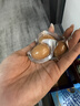 良品铺子什锦鹌鹑蛋450g卤蛋小包装64颗铁蛋即食盐焗卤味素食网红休闲零食 实拍图