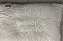 南极人（Nanjiren）枕头睡眠深度枕芯决明子薰衣草枕头单人双人荞麦睡眠颈椎枕芯家用 立体磁疗决明子枕ALS 单只 48cm*74cm 实拍图