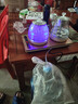 FUNORK全自动上水电热水壶 茶台烧水壶家用办公茶桌一体机茶几嵌入式茶具电茶炉套装 金色双加水蒸茶款 实拍图