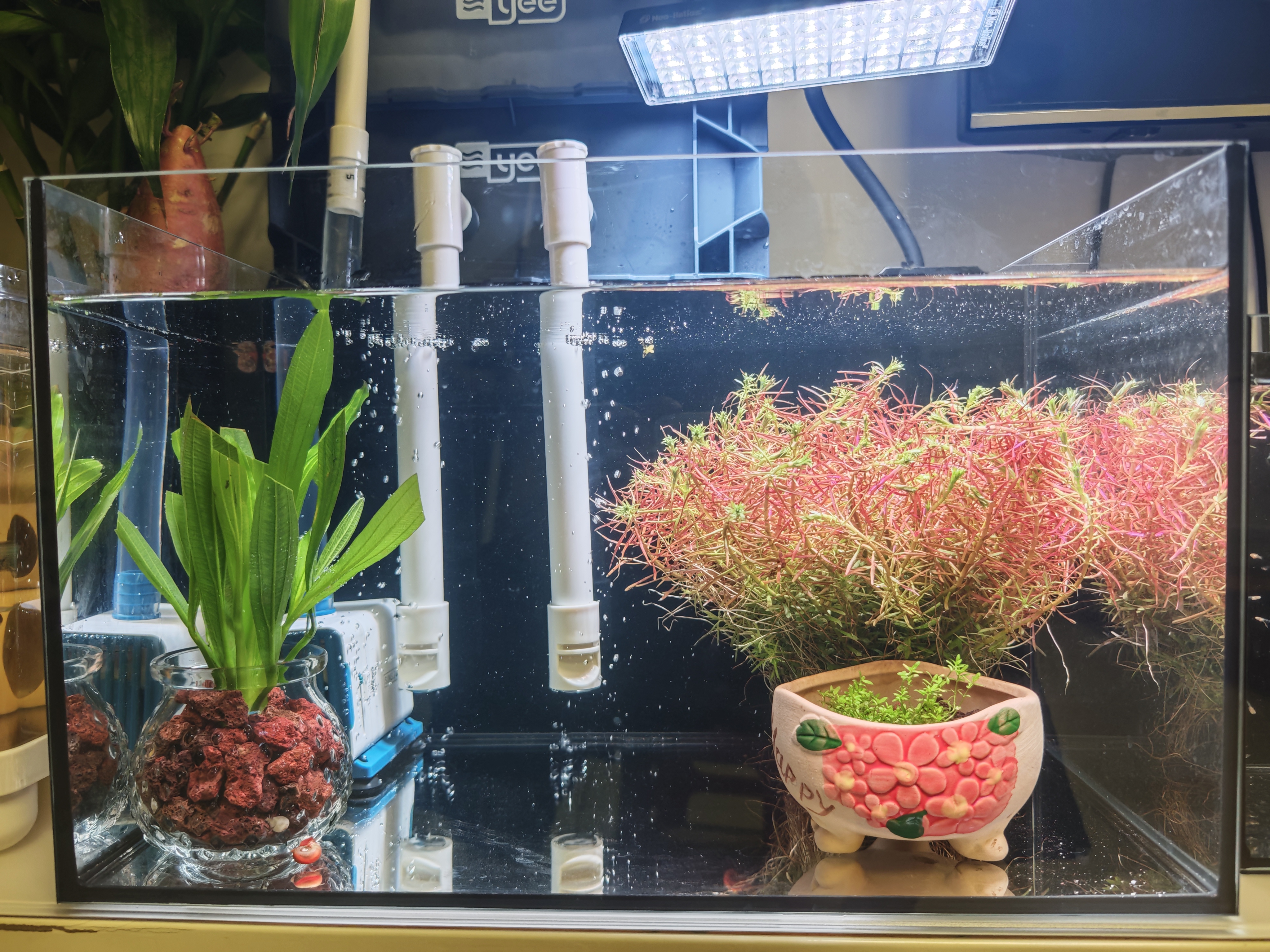 森森（SUNSUN）耀蓝鱼缸水泵小型潜水泵过滤泵抽水泵YQP-1000 15W 实拍图