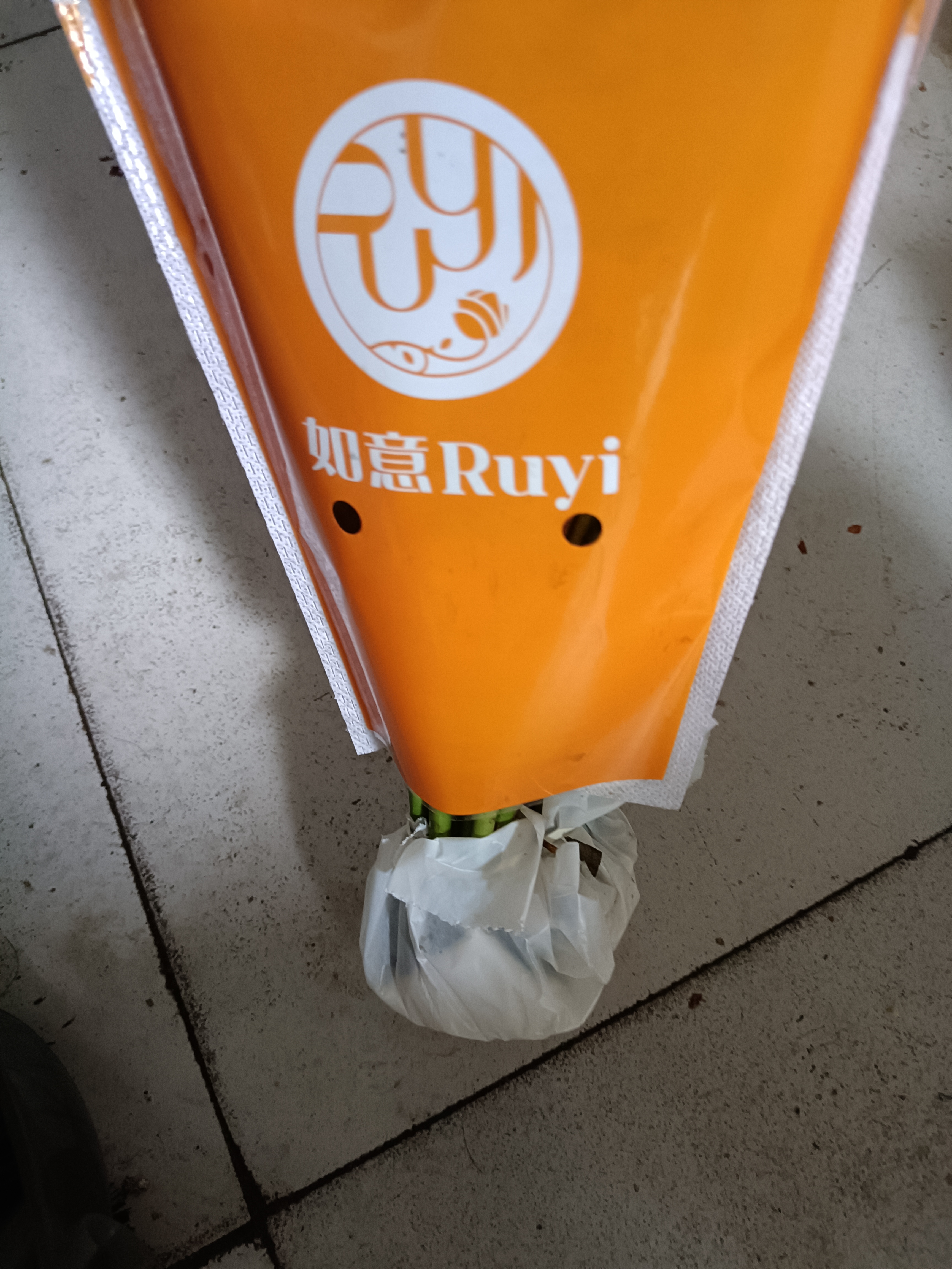 京东鲜花玫瑰花【红色随机】20枝新鲜采摘山东基地日常礼品花暖心源头直发 实拍图