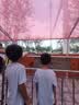 安踏儿童套装2026夏速干运动套装男童短袖T短裤时尚两件套A72625701 实拍图