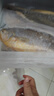 海名威宁德三去大黄鱼 对半厚切黄花鱼 净重700g/2片 海鲜海鱼 生鲜鱼类 实拍图