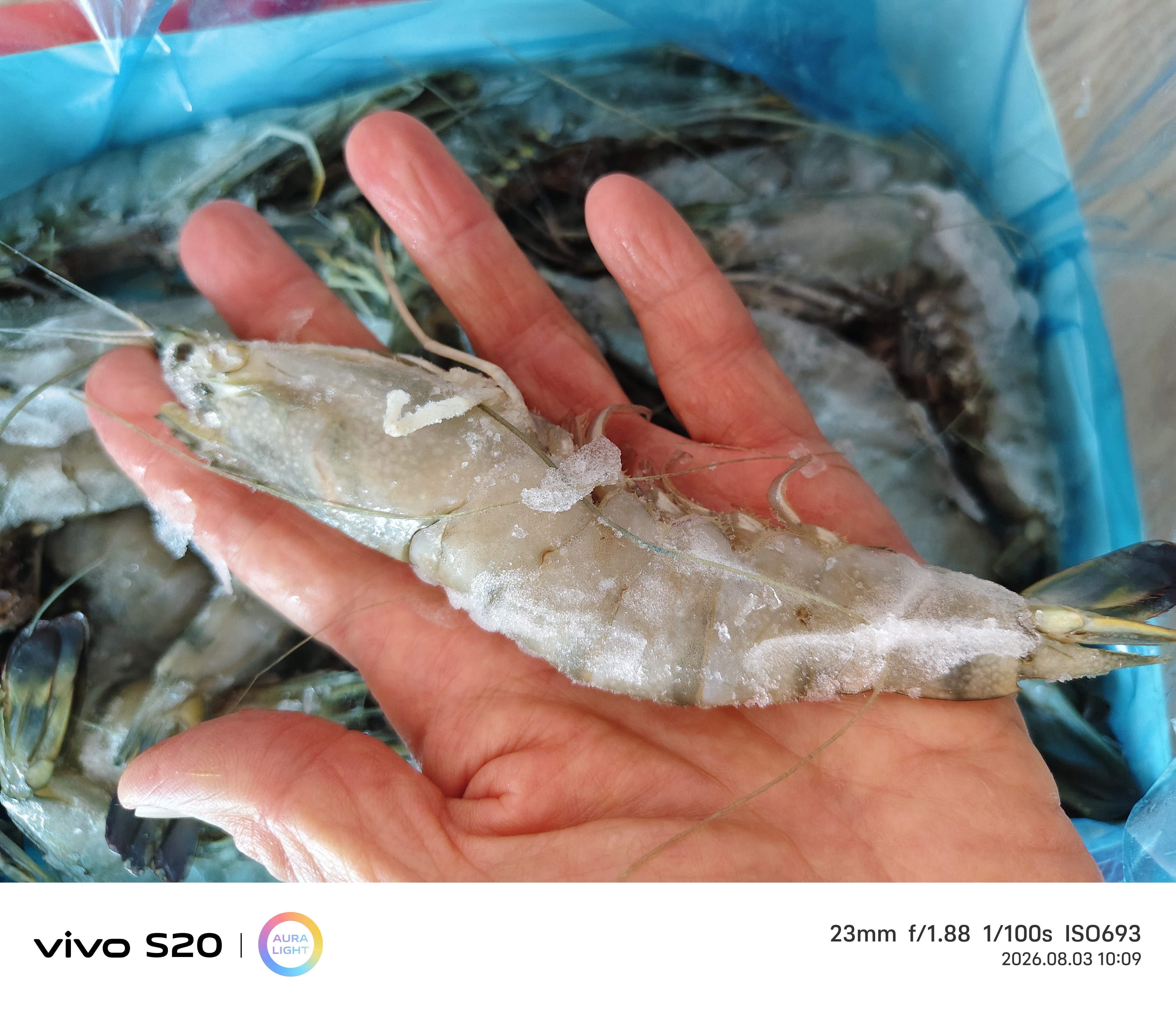 GUO LIAN国联 黑虎虾超大规格斑节虾无冰净重2斤 16-20只高虾青素送礼海鲜 实拍图