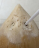 佳沃（JOYVIO）泰国进口香水椰皇 大果 4粒装 600g+/粒  水果源头直发包邮 实拍图