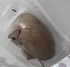 喜旺气调锁鲜卤香猪肝200g*2盒即食卤味熟食腊味源头直发 实拍图