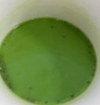 北大荒羽衣甘蓝奇亚籽豆浆粉154g7条高膳食纤维果蔬营养早餐冲饮代餐粉 实拍图