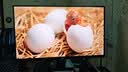 泰坦军团27英寸QD-MiniLED 4K 160Hz双模320Hz DyDs0.5ms Type-C65W 内置音箱电竞显示器P275MV PLUS增强版 实拍图