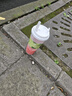 蒙牛特仑苏纯牛奶250ml*16盒 家庭早餐 送礼盒装送礼礼盒 实拍图