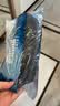 彪马（PUMA）成人溯溪鞋速干透气水陆两用沙滩鞋防滑防撞护脚户外漂流涉水鞋 实拍图