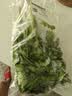 带根香菜100g 实拍图