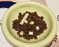 【食品级陶瓷】AE碗猫碗狗碗宠物碗喂食器陶瓷 MINT CHOCO-薄荷巧克力[S+级AE碗】 AE单碗 实拍图