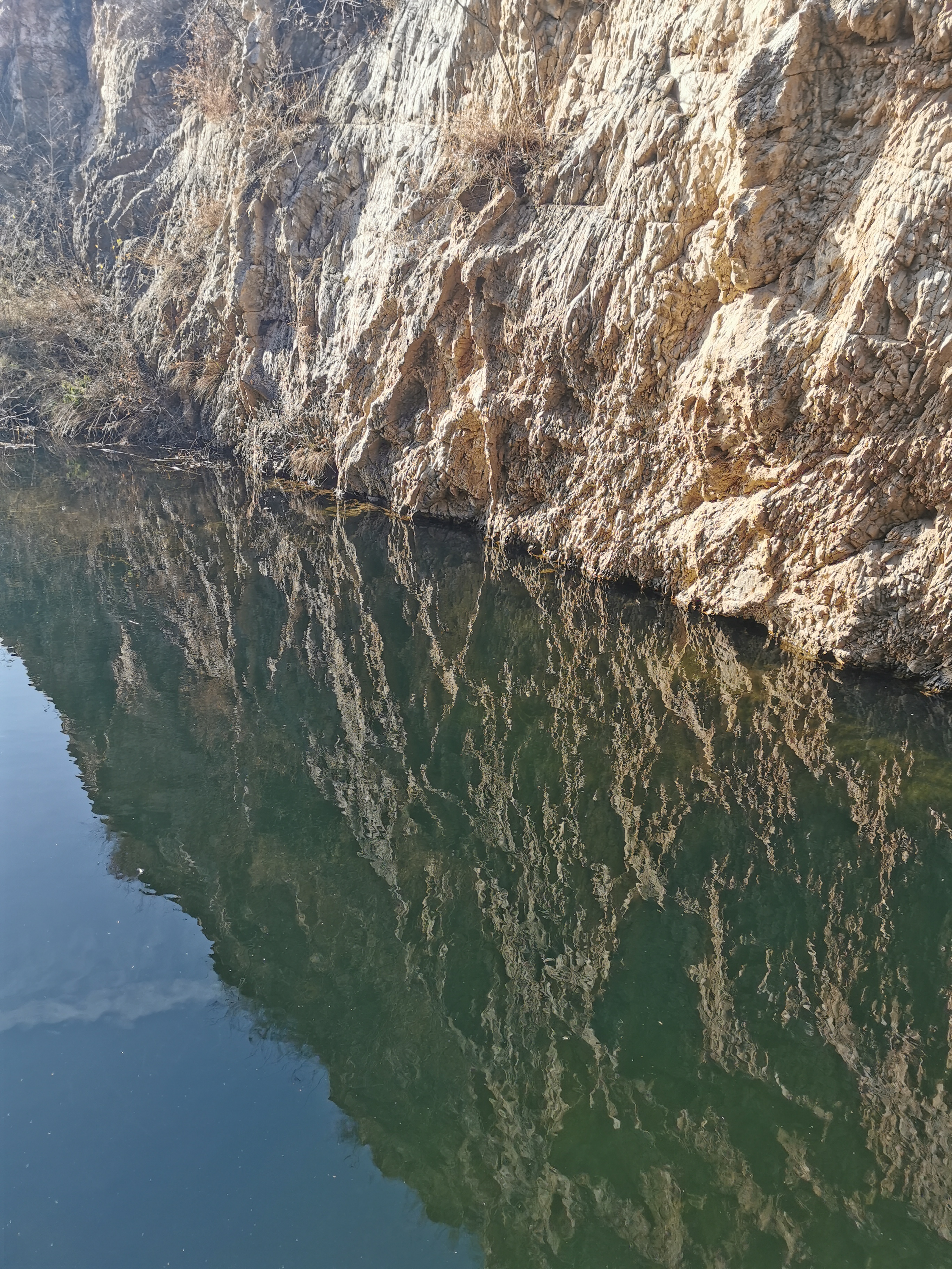 金龙鱼特麻 花椒油400ml家用 麻椒油麻油香油 麻辣调 川渝地道风味 实拍图