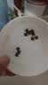 弗列加特98%高含肉量 FPMR生骨肉猫主食罐湿粮 成幼猫罐头 牛肉味95g 实拍图