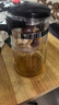 天喜（TIANXI）玻璃茶壶耐热茶具飘逸杯泡茶壶杯泡茶器泡茶壶茶水分离杯一键过滤 实拍图