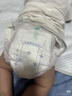 舒比奇（Suitsky）【未检出甲酰胺】透气薄纸尿裤敏感肌成长裤婴儿尿不湿超薄透气 【拍5划算】成长裤3XL28片 ≥14kg 实拍图