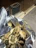 南京同仁堂贡菊花茶正宗黄山产贡菊白菊花茶可搭金银花玫瑰花泡水喝的养生茶 实拍图