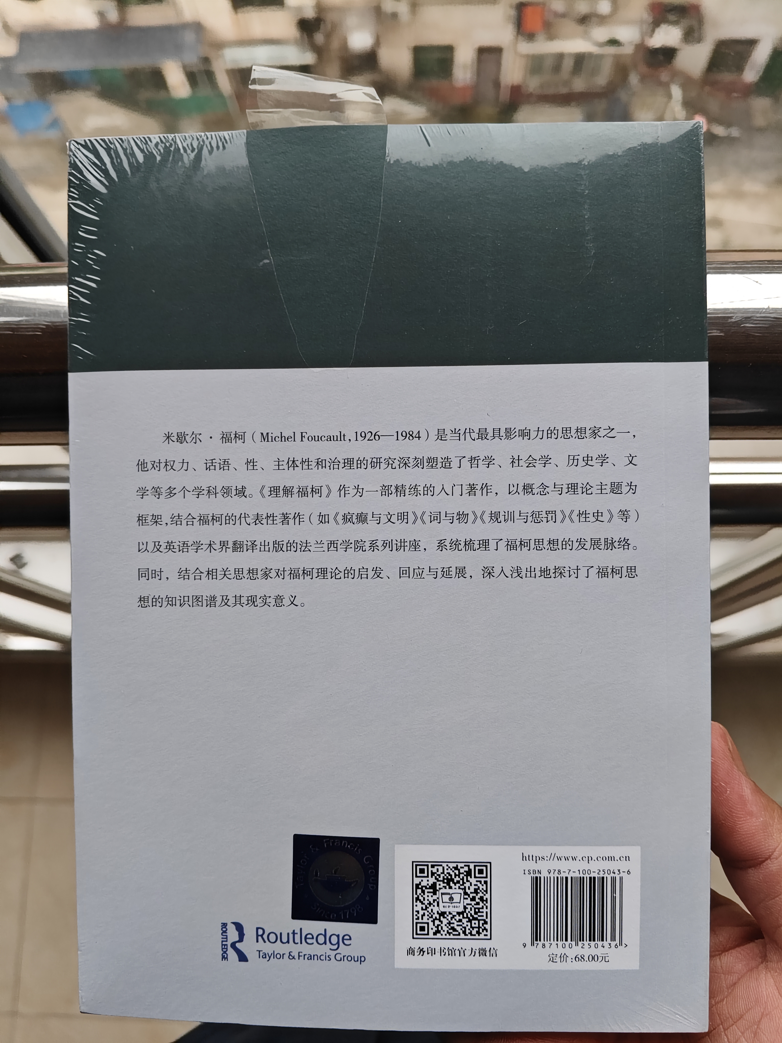 理解福柯：批判性导论（第2版） 实拍图