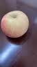 陇原红【顺丰到家】静宁苹果甘肃红富士苹果新鲜孕妇水果源头直发包邮 手工精选|5斤70-75mm净重4斤宝宝果 实拍图