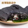 温氏供港白凤乌鸡2斤 冷冻食材 土鸡农家散养 110天以上 十全乌骨鸡 实拍图
