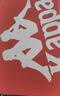 卡帕（Kappa）女鞋流光德训鞋子女2026新薄款夏季透气休闲运动鞋小白鞋女银色37 实拍图