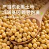 田喜粮鲜有机非转基因高蛋白黄豆 东北大豆免泡易打41.6%高蛋白打豆浆380g 实拍图