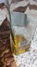 尊尼获加（JOHNNIE WALKER）绿方绿牌15年 苏格兰调和威士忌 洋酒 750ml 实拍图