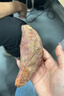 俏侬 巴斯克芝士蛋糕300g（150g*2盒）烘焙糕点西式甜点下午茶 实拍图