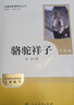 骆驼祥子+钢铁是怎样炼成的（升级版） 人教版名著阅读课程化丛书 七年级下套装（共2册）与25春新版初中语文教材配套使用（含微课，从教学角度讲解名著；含阅读笔记本，提供测评指导帮助提升整本书阅读能力） 实拍图
