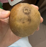 佳沛（zespri）新西兰 阳光金奇异果12粒特大果单果124-146g 猕猴桃水果礼盒 实拍图