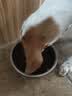 佩玛思特PetMaster深海鱼系列成犬粮狗粮全价犬粮10kg【囤货装】 实拍图