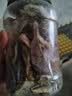 万达香脆黄鱼酥250g原味吮指罐装香酥小黄鱼海味休闲追剧零食 实拍图