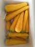 京鲜生山东黄萝卜 净重4.5斤 单果100g+ 新疆手抓饭辅料 源头直发 实拍图