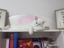 诚实一口P40全价猫粮成猫幼猫室内外80%鲜肉高蛋白长肉美毛鸡鱼味1.5kg 实拍图
