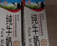 辉山纯牛奶250ml*24盒 3.1g乳蛋白 100mg钙 全新升级 营养牛奶 实拍图