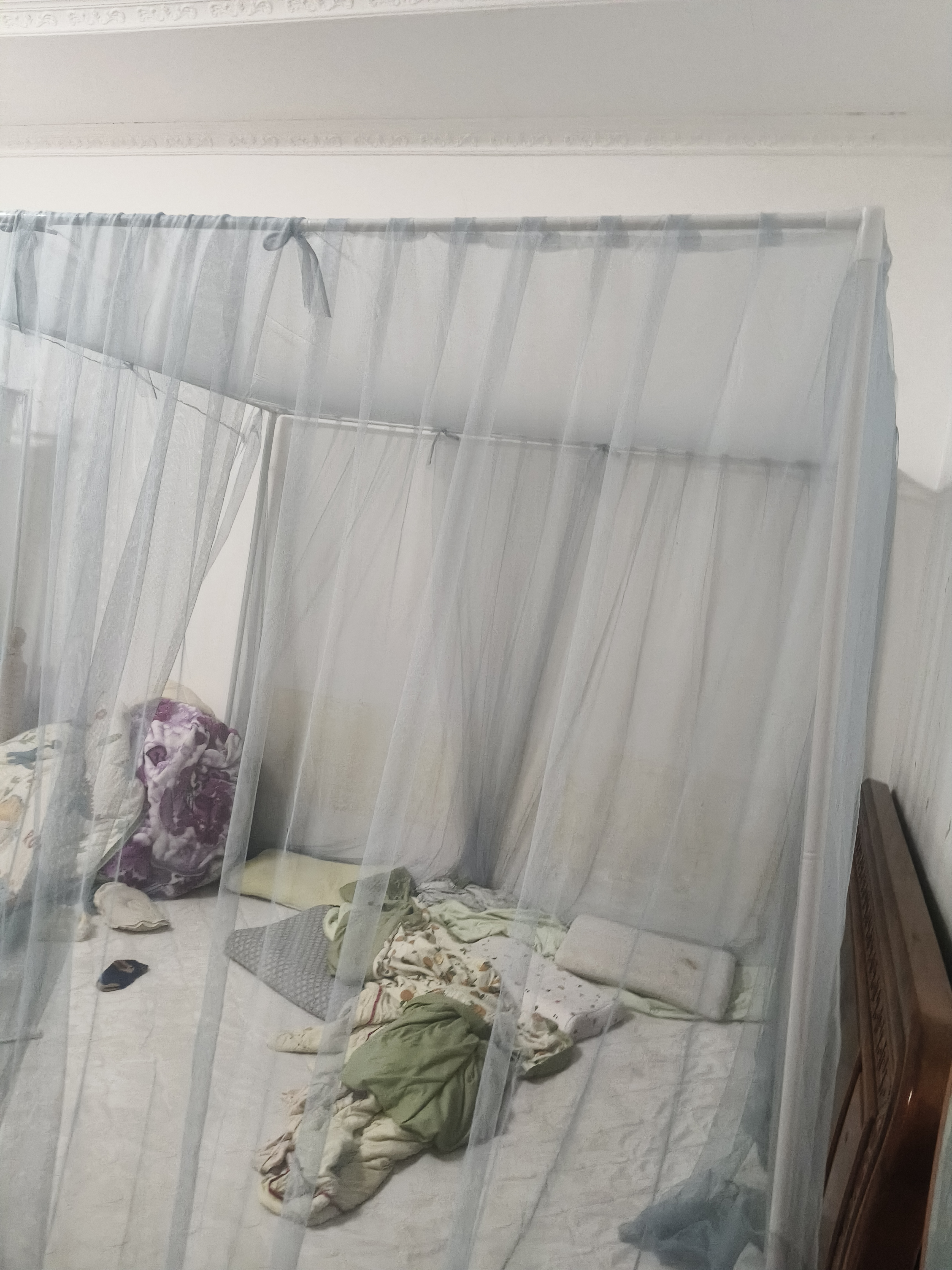 安睡宝（SOMERELLE）A类加密帐纱三开门落地公主风宫廷蚊帐 加高加粗支架 1.8x2米床 实拍图