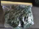 【顺丰】羽衣甘蓝 新鲜沙拉菜 都市健康轻食蔬菜 羽衣甘蓝1000g 实拍图