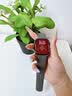 Qise【热销2万+】apple watch保护膜新款苹果手表S11/S10/S9/SE3全系列保护膜高清全屏苹果手表贴膜 苹果手表SE3【40MM】 【超清2片】好贴不翘边丨灵敏不断触 实拍图