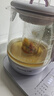 九阳（Joyoung）1.5L全玻璃沸萃养生壶煮茶器 0胶水玻璃滤网炖盅 花茶壶烧水保温一体恒温全自动电热水壶15WY10J 实拍图