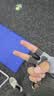 特步（XTEP）健腹轮腹肌自动回弹四轮专业卷腹肌训练器健身器材家用带辅助减肚 实拍图