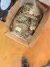 佰瑞特（bairuite）304不锈钢膨胀螺丝钉拉爆螺杆316加长膨胀螺栓吊装爆炸膨胀管螺钉 M10*100【1粒】304 实拍图