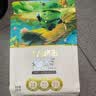 十月稻田 绿豆 2斤 (可发豆芽 打豆浆 东北 五谷 杂粮 粗粮 真空大米伴侣) 实拍图