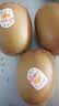 佳沛（zespri）新西兰 阳光金奇异果12粒特大果单果124-146g 猕猴桃水果礼盒 实拍图