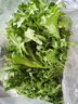 【顺丰】羽衣甘蓝 新鲜沙拉菜 都市健康轻食蔬菜 芝麻菜500g 实拍图