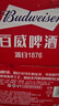 百威【梅西同款】经典红罐啤酒450mL 18罐整箱装喜宴中秋送礼 实拍图