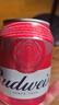 百威啤酒mini红罐淡色拉格255ml*12小罐整箱装京东自营喜酒 实拍图